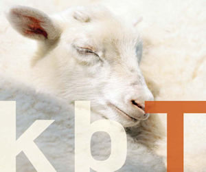 Schurwolle aus kontrolliert biologischer Tierhaltung